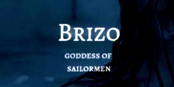 Brizo Swimwear